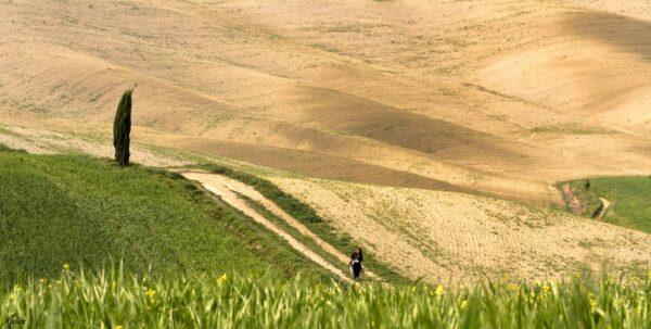 trekking