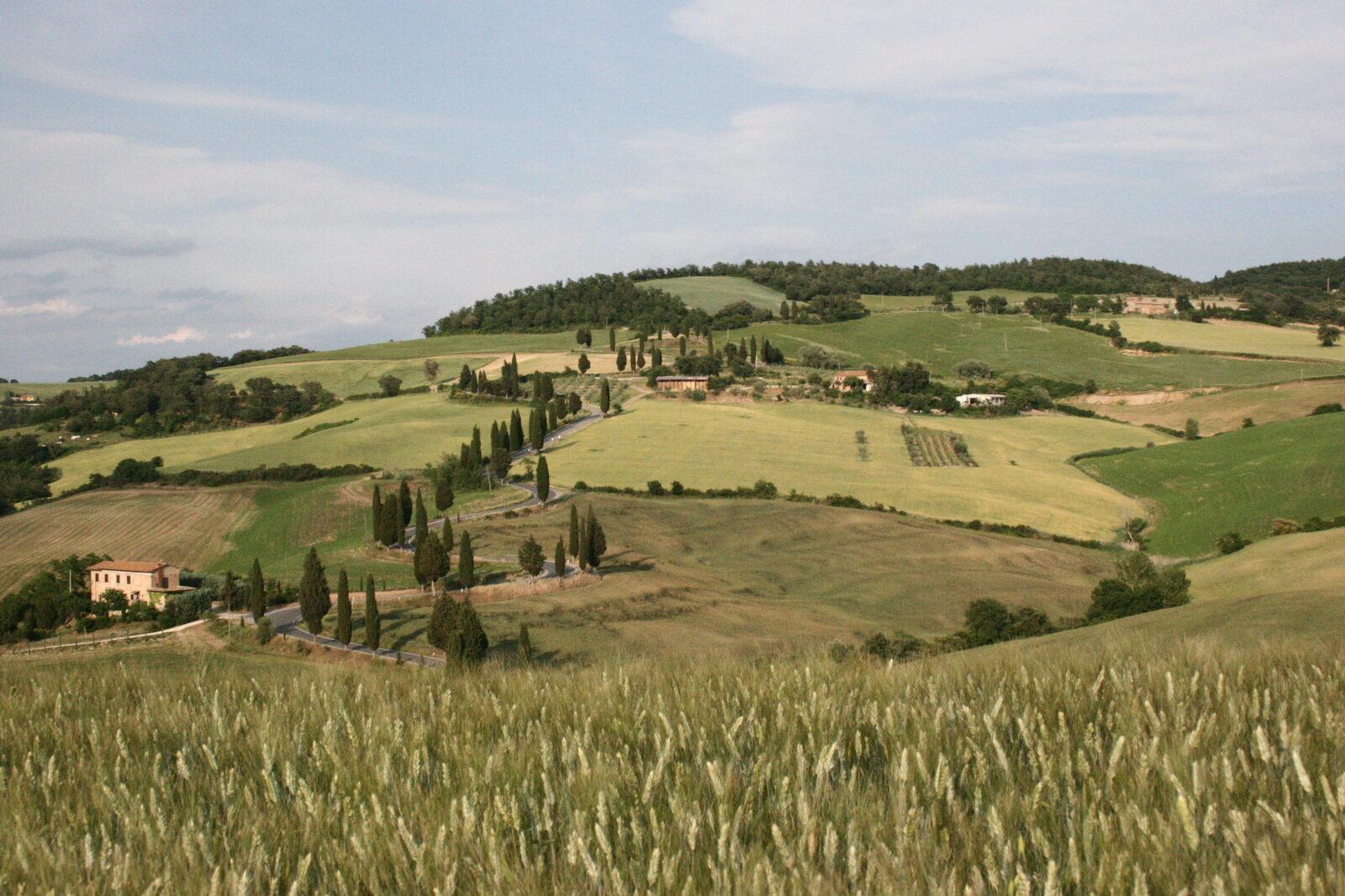 Strada asfaltata panoramica per sapere come arrivare a La Casa di Adelina a Monticchiello
