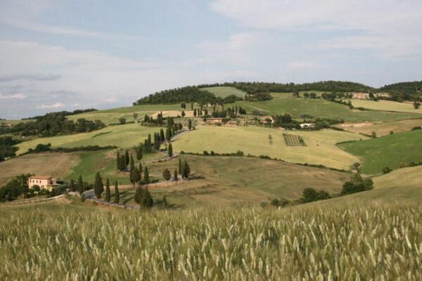 Strada asfaltata panoramica per sapere come arrivare a La Casa di Adelina a Monticchiello